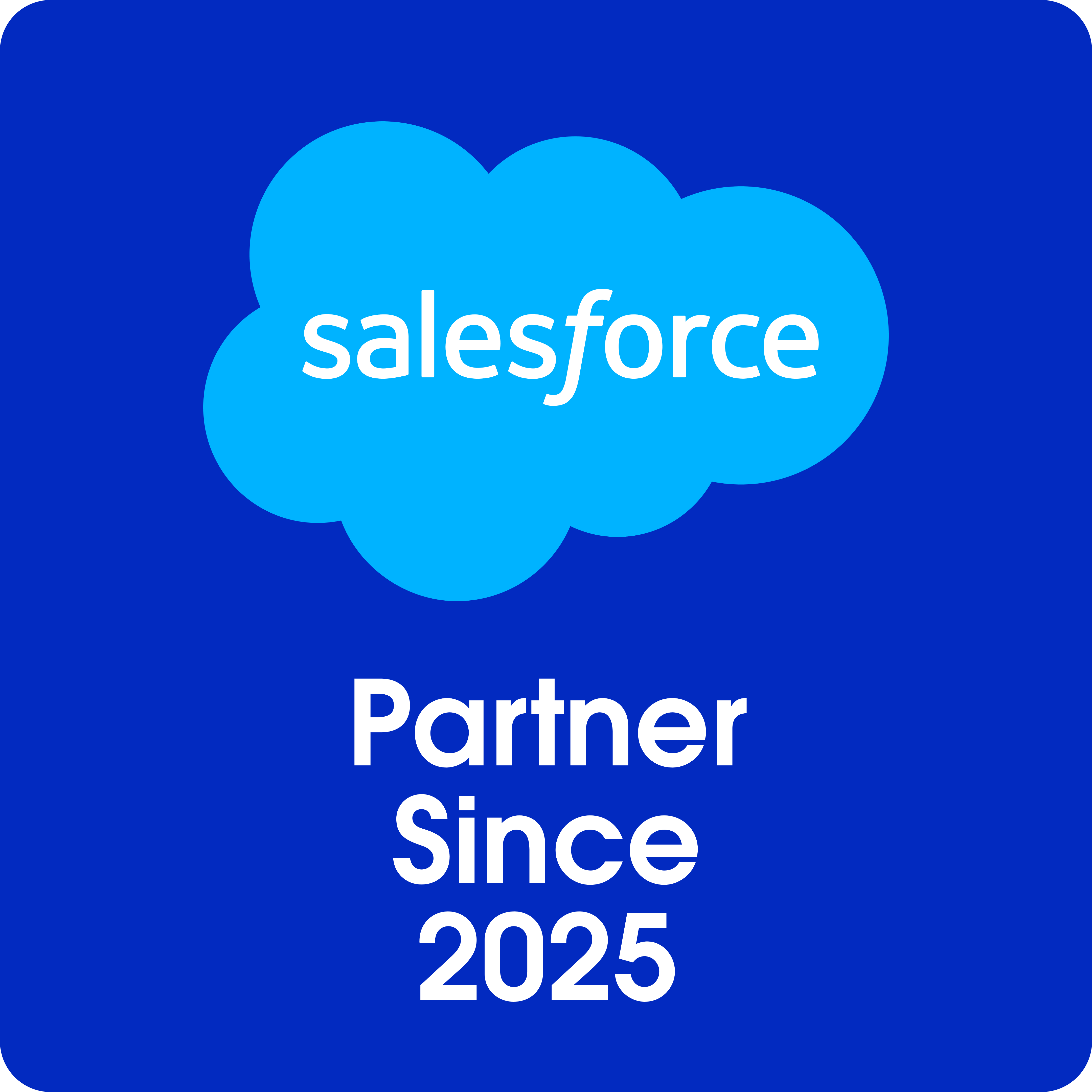 salesforce Partner Since 2025